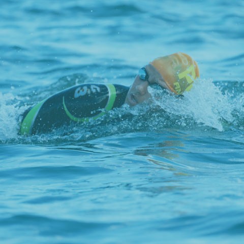 Utilize para ver mais