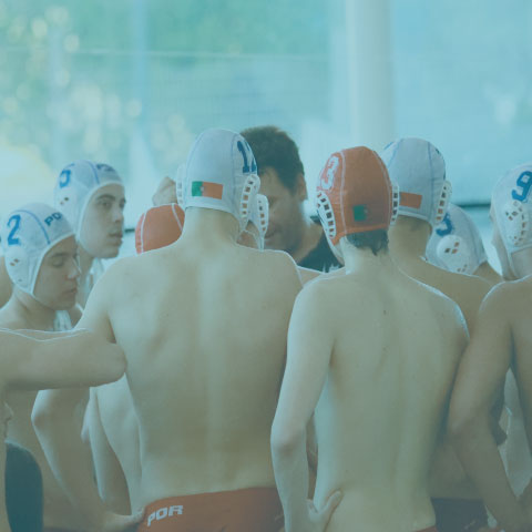 Utilize para ver mais