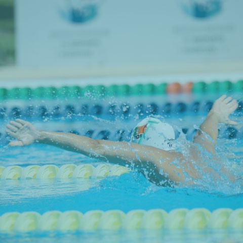 Utilize para ver mais