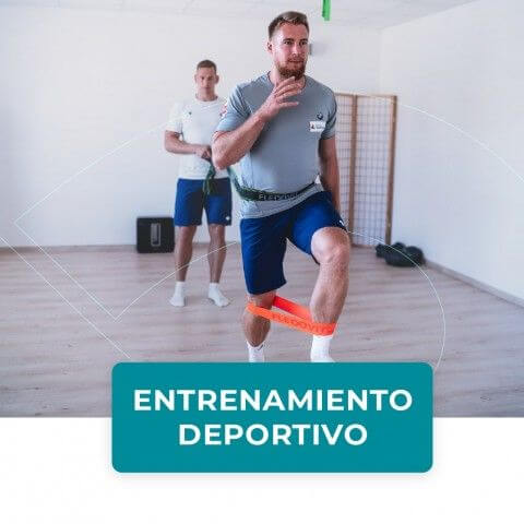 banda elástica FLEXVIT de la mejor calidad