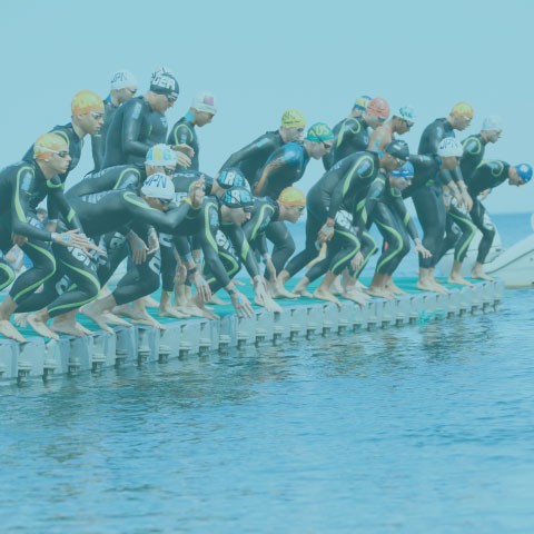 Utilize para ver mais