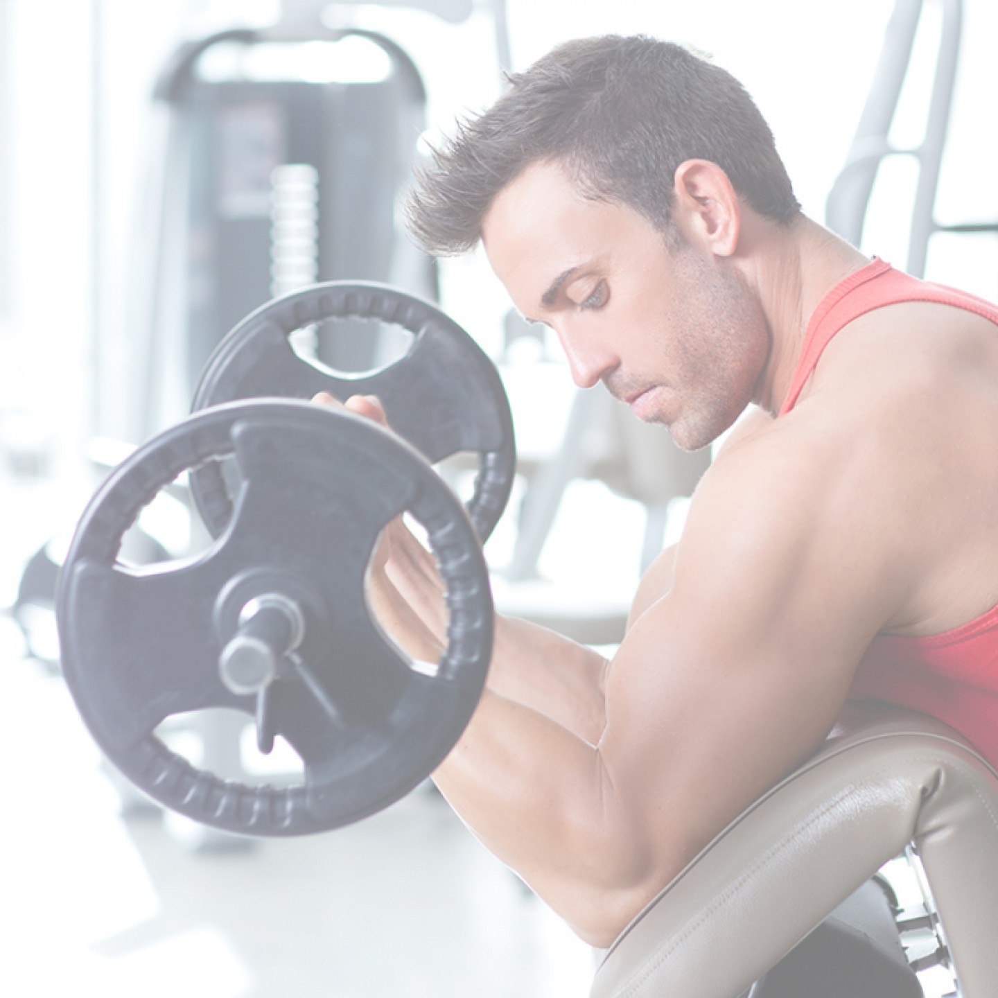 <span>NUTRIÇÃO</span> MASSA MUSCULAR <span>NUTRIÇÃO</span> MASSA MUSCULAR